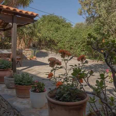 Private Pet Friendly Villa Agios Nikolaos Buitenkant foto