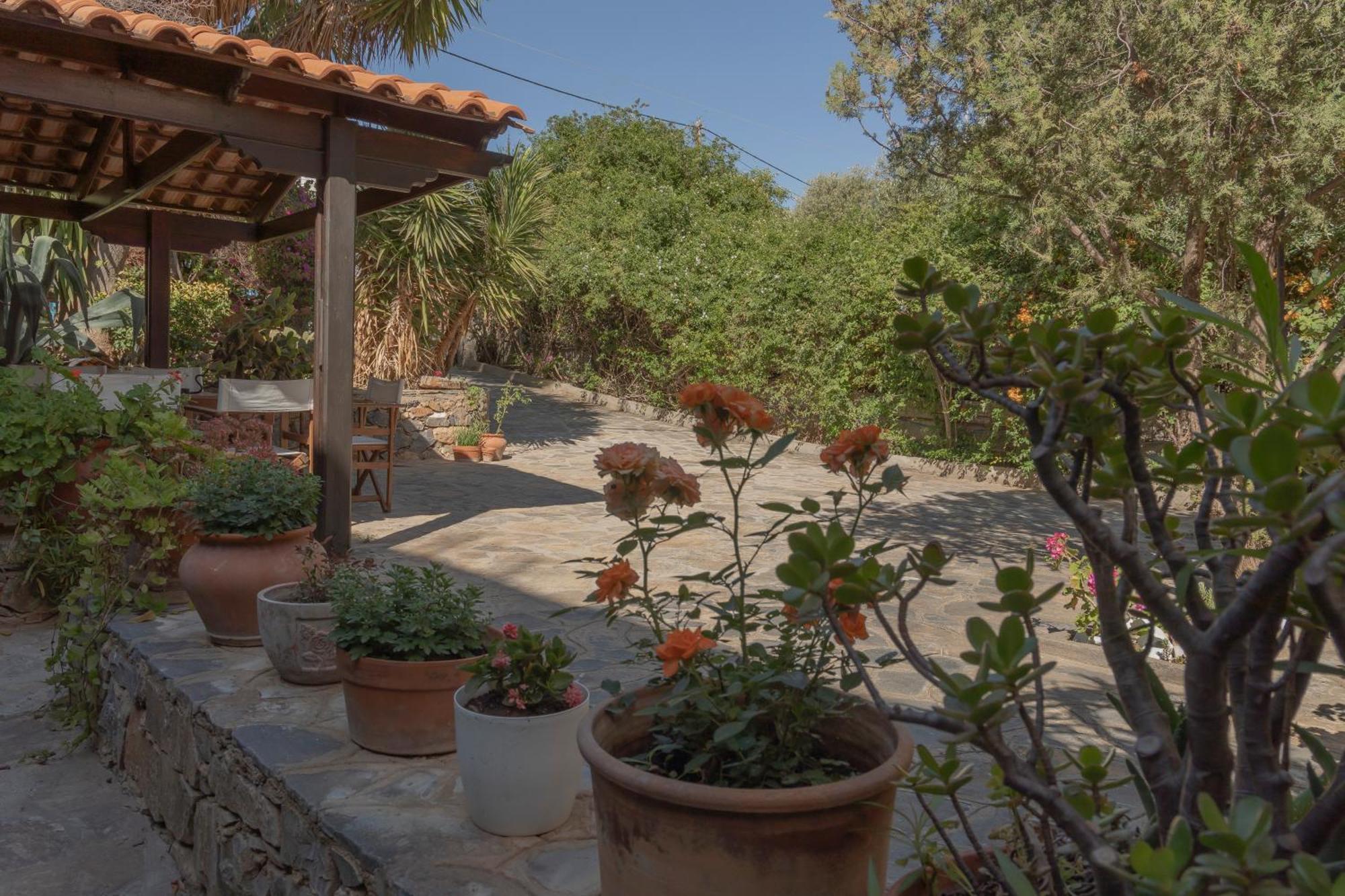 Private Pet Friendly Villa Agios Nikolaos Buitenkant foto