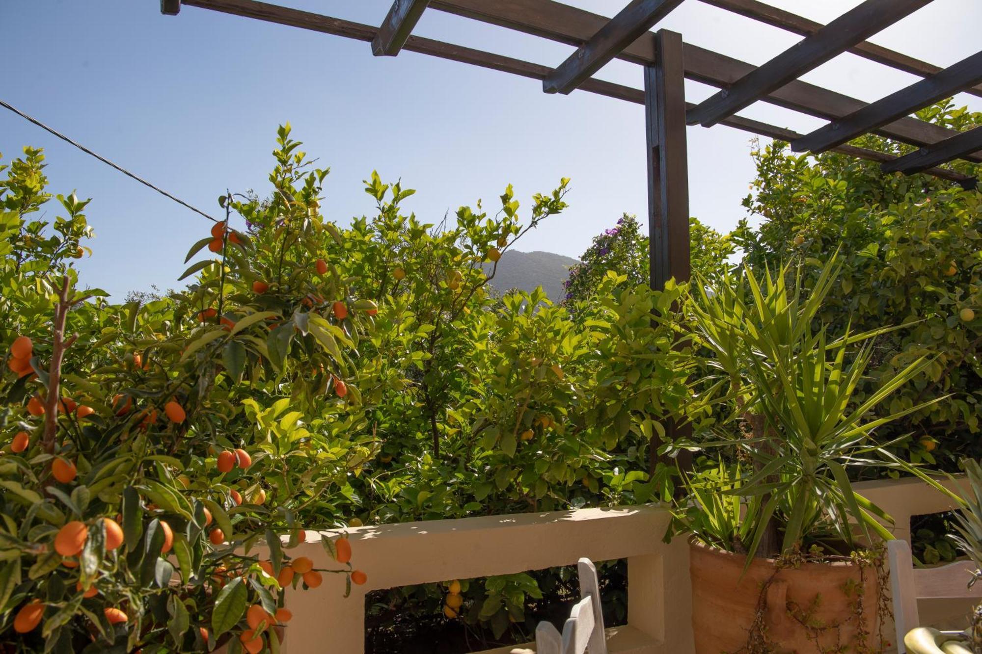 Private Pet Friendly Villa Agios Nikolaos Buitenkant foto